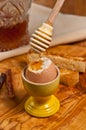 Soft cooked egg in an egg cup with chile infused honey-paleo diet Royalty Free Stock Photo