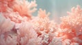 soft coral texture background Royalty Free Stock Photo