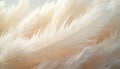 Soft creamy white feathers form fluffy texture background. Delicate downy plumage light, airy feel. Abstract pastel pattern for Royalty Free Stock Photo