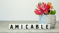 Soft cubes with the abbreviation AMICABLE with a flower