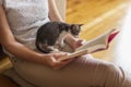 Leisure time with kitten Royalty Free Stock Photo