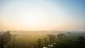 Soft Dawn Light Over a Misty Rural Landscape with Scattered Trees Royalty Free Stock Photo