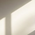 Soft, defused light creates geometric shadows on an off-white wall. The shadows for Royalty Free Stock Photo