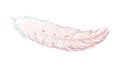 Soft, Delicate White Feather Illustration for Design, vector design Generative AI Royalty Free Stock Photo