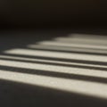 Soft, diffused light casts parallel shadow lines across a textured surface, creating a Royalty Free Stock Photo