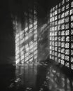 Soft diffused light seeping through a latticed glass window casting a tranquil mood. Black and white art. Royalty Free Stock Photo