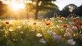 Soft Dreamy Spring Meadow with Colorful Wildflowers Bathed in Late Afternoon Golden Light. Generative Ai Royalty Free Stock Photo