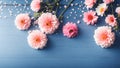 Soft dreamy sweet flower for love romance isolated blue background Royalty Free Stock Photo