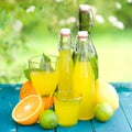 Soft drink, lemon fruits Royalty Free Stock Photo