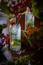 Soft drink lemonade with ice cubes in a tall glass