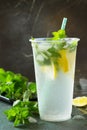 SOFT DRINKS. Refreshing summer drink lemon with mint and ice. Royalty Free Stock Photo