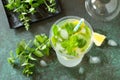 SOFT DRINKS. Refreshing summer drink lemon with mint and ice. Royalty Free Stock Photo