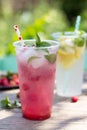 SOFT DRINKS. Refreshing summer drink lemon with mint, ice and raspberry with basil, ice. Royalty Free Stock Photo