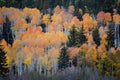 Soft Fall Colors along Highway 25 Royalty Free Stock Photo