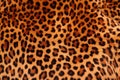 soft, faux animal print textile in close view