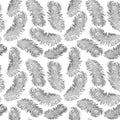 Soft Feather Pattern Black and White