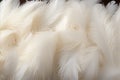 Soft Feather White Texture - Calming Rhythms, Serenity and Relaxation for Stress Relief