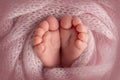 Soft feet of a new born in a pink wool blanket. Close-up of toes, heels and feet of a newborn. Macro photography of foot Royalty Free Stock Photo