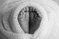 Soft feet of a newborn in a blancket. Close-up of toes, heels and feet of baby. Black and white studio macro photography Royalty Free Stock Photo