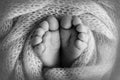 Soft feet of a newborn in a blancket. Close-up of toes, heels and feet of baby. Black and white studio macro photography Royalty Free Stock Photo