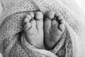 Soft feet of a newborn in a blancket. Close-up of toes, heels and feet of baby. Black and white studio macro photography Royalty Free Stock Photo