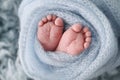 Soft feet of a newborn in a blue woolen blanket. Close-up of toes, heels and feet of a newborn baby. Royalty Free Stock Photo