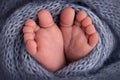 Soft feet of a newborn in a blue woolen blanket. Close-up of toes, heels and foot of a newborn baby. Royalty Free Stock Photo