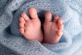 Soft feet of a newborn in a blue woolen blanket. Close-up of toes, heels and foot of a newborn baby. Royalty Free Stock Photo