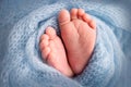 Soft feet of a newborn in a blue woolen blanket. Close-up of toes, heels and foot of a newborn baby. Royalty Free Stock Photo