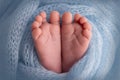 Soft feet of a newborn in a blue woolen blanket. Close-up of toes, heels and foot of a newborn baby. Royalty Free Stock Photo