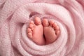 Soft feet of a newborn in a pink blanket. Toes, heels and feet of a newborn baby Royalty Free Stock Photo