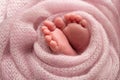 Soft feet of a newborn in a pink blanket.Toes, heels and feet of a newborn baby Royalty Free Stock Photo