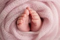 Soft feet of a newborn in a pink woolen blanket. Close-up of toes, heels and feet of a newborn baby. Royalty Free Stock Photo