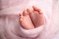 Soft feet of a newborn in a pink woolen blanket Close-up of toes, heels and feet Royalty Free Stock Photo