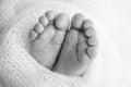 Soft feet of a newborn in a blancket. Close-up of toes, heels and feet of baby. Black and white studio macro photography Royalty Free Stock Photo