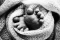 Soft feet of a newborn in a blancket. Close-up of toes, heels and feet of baby. Black and white studio macro photography Royalty Free Stock Photo