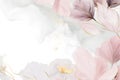 Soft flower blossom background flare petal botanical bloom pastel nature greeting pink wedding white