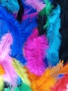 Soft fluffy colorful feathers background