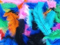 Soft fluffy colorful feathers background