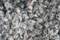 Soft and fluffy sheepskin - wool. Closeup background Royalty Free Stock Photo