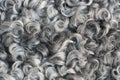 Soft and fluffy sheepskin - wool. Closeup background Royalty Free Stock Photo
