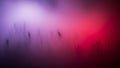 Soft focus abstract background with blurred silhouettes of thin vertical against a vibrant gradient of purple and red Royalty Free Stock Photo