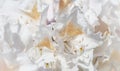 Soft focus, abstract floral background, white Rhododendron flower petals. Macro flowers backdrop for holiday brand design Royalty Free Stock Photo