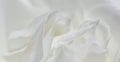 Soft focus, abstract floral background, white rose flower. Macro flowers backdrop for holiday brand design Royalty Free Stock Photo