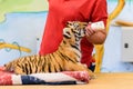 woman nurses a baby tiger with bottle milk, artificial feeding of animals