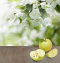 Soft focus background with apple fruits, green leaves Royalty Free Stock Photo