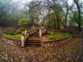 Soft focus. Beautiful old stone staircase in the misty park of Zheleznovodsk. Old stone staircase in the autumn misty park. Stairs