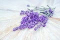 Soft focus Bunch of Lavender flowers on a white wooden table background, top view . Royalty Free Stock Photo