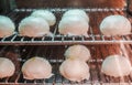 Soft focus chinese pork bun or steamed dumpling in steam cabinet warming for sale ready to eat in mini mart , Chinese food Royalty Free Stock Photo
