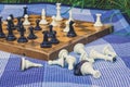 Soft focus classic chess desk on background and black and white falling figures on foreground in blue carpet texture copy space Royalty Free Stock Photo